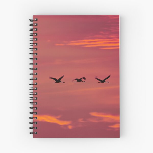 Item preview, All purple. Evening of the cranes designed and sold by Jouko Lehto Photography.