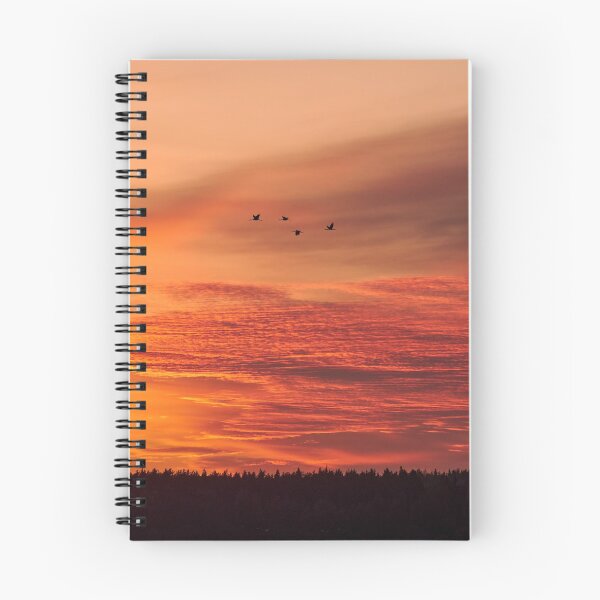 Item preview, Breaking the clouds. Evening of the cranes designed and sold by Jouko Lehto Photography.