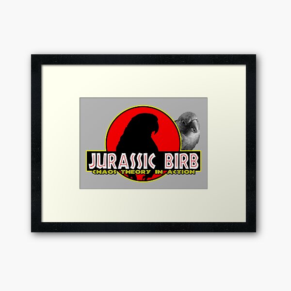 Chaos Theory in Action Framed Art Print