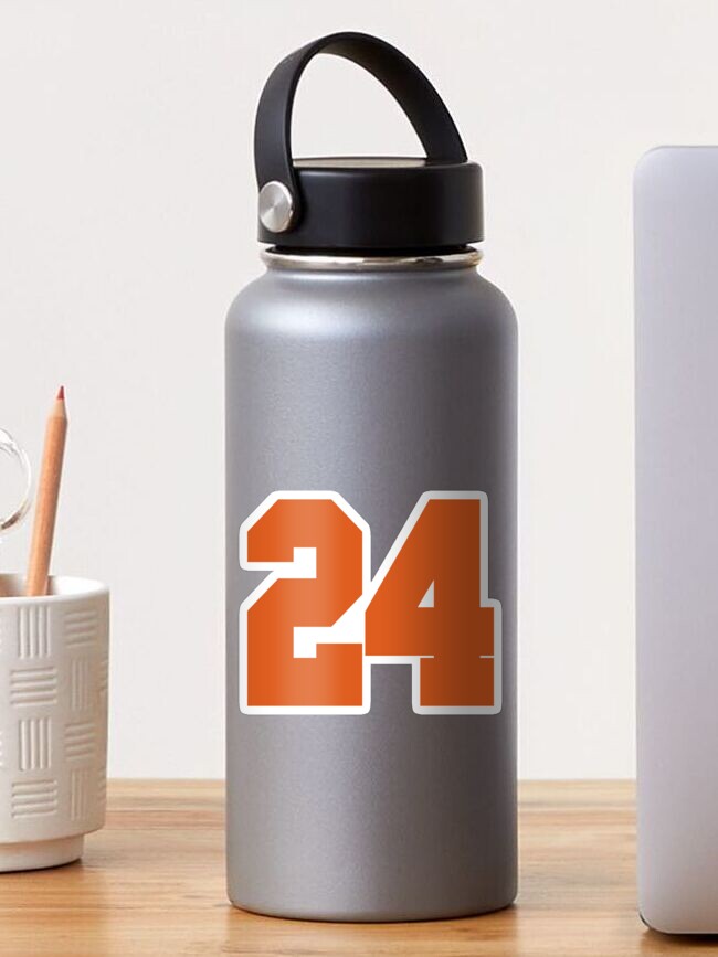 NFL Cleveland Browns Touchdown 24 oz Stainless Steel Water Bottle with lid  