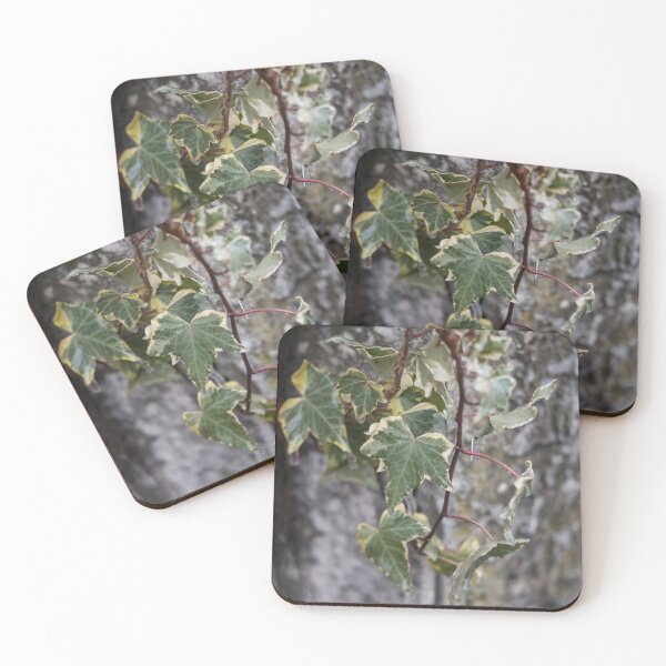 Item preview, Frozen English Ivy designed and sold by anna-mar.