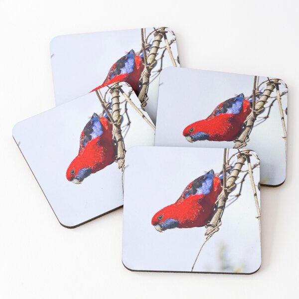Item preview, Crimson Rosella designed and sold by TGrowden.