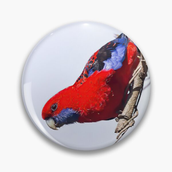 Item preview, Crimson Rosella designed and sold by TGrowden.