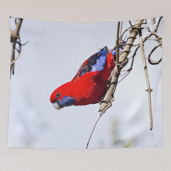 Item preview, Crimson Rosella designed and sold by TGrowden.