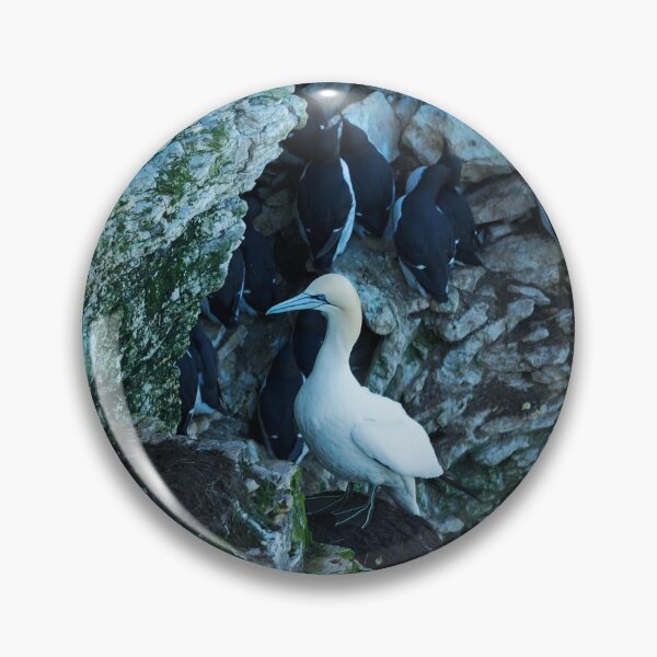 Item preview, CLIFF GANNET designed and sold by andrewsaxton.