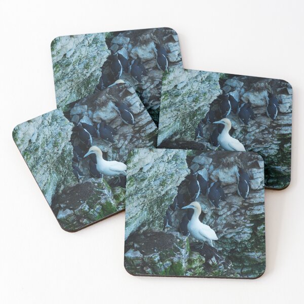 Item preview, CLIFF GANNET designed and sold by andrewsaxton.