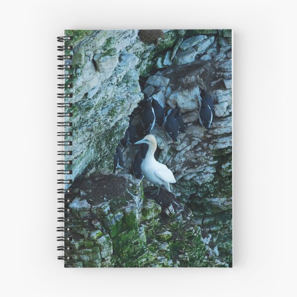 Item preview, CLIFF GANNET designed and sold by andrewsaxton.
