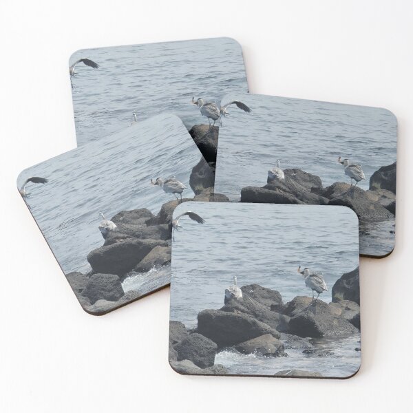 Item preview, Migratory birds with fish in their mouths in Jeju sea. designed and sold by human8891.