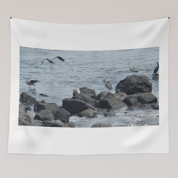 Item preview, Migratory birds with fish in their mouths in Jeju sea. designed and sold by human8891.