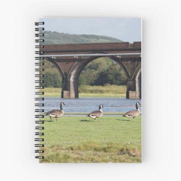 Item preview, Pontarddulais viaduct designed and sold by Duane Evans.