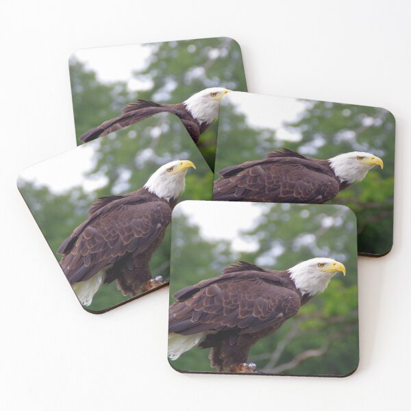 Item preview, Bald eagle designed and sold by Treemonk.