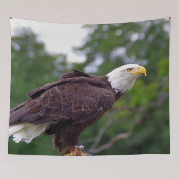 Item preview, Bald eagle designed and sold by Treemonk.
