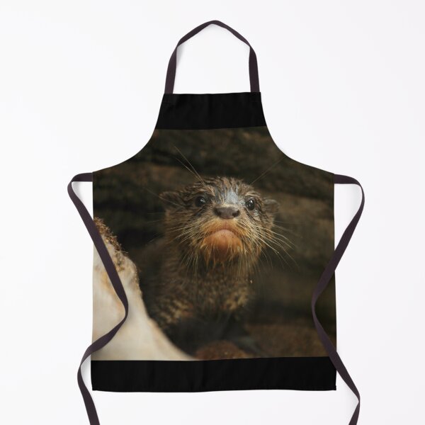 Item preview, Baby Otter III designed and sold by TVD-Photography.