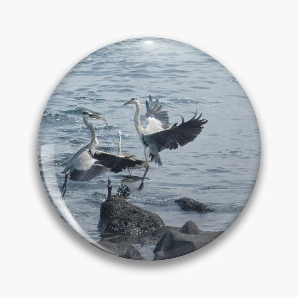 Item preview, Migratory birds flapping their wings in the korea Jeju sea  designed and sold by human8891.