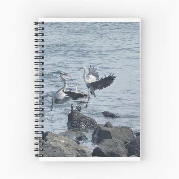 Item preview, Migratory birds flapping their wings in the korea Jeju sea  designed and sold by human8891.