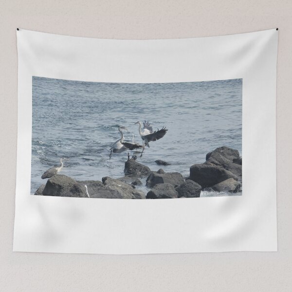 Item preview, Migratory birds flapping their wings in the korea Jeju sea  designed and sold by human8891.