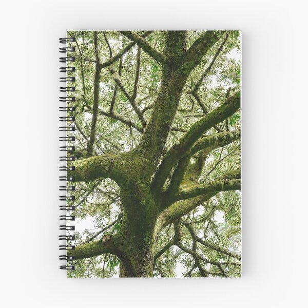 Item preview, Old Growth designed and sold by Stuart Mitchell.