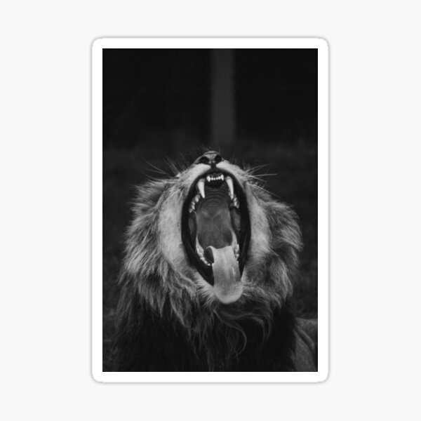 Lion Roar | ZOE DARGUE PHOTOGRAPHY | Glasgow Portrait Photographer Sticker