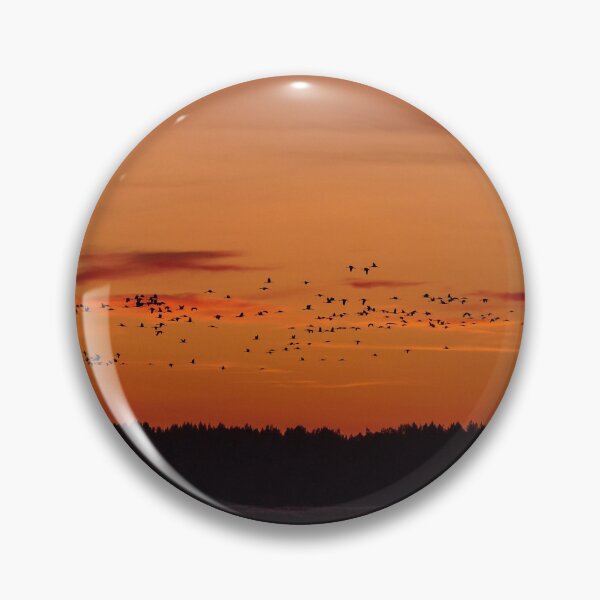 Item preview, More and more and more. Evening of the cranes designed and sold by Jouko Lehto Photography.