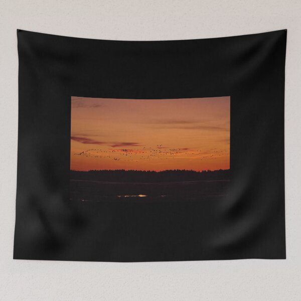 Item preview, More and more and more. Evening of the cranes designed and sold by Jouko Lehto Photography.