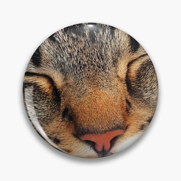 Artikelvorschau, Purrrfect Platz für ein Snooze entworfen und verkauft von Yampimon.