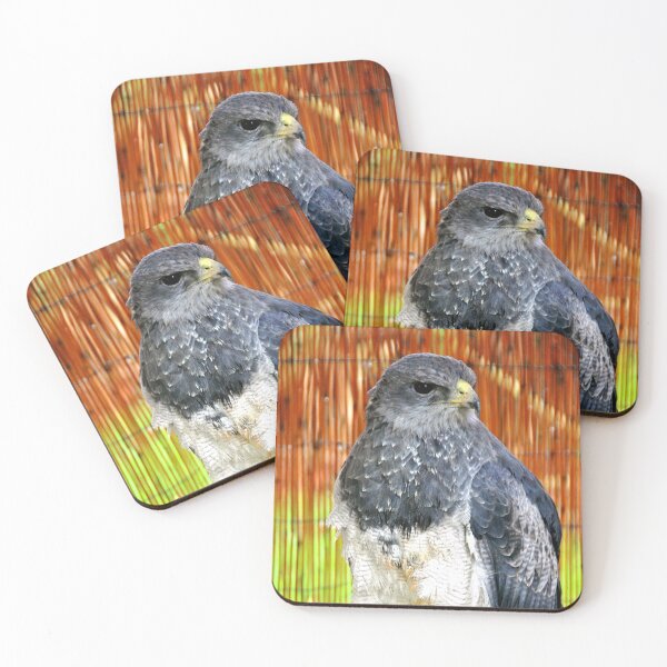 Item preview, Chilean Eagle Black Chested Buzzard designed and sold by AndyEvansPhotos.