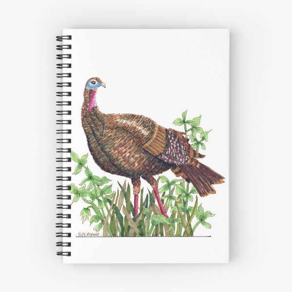 Item preview, Colorful Turkey in the Grass Picture designed and sold by Stephanie Sipp.