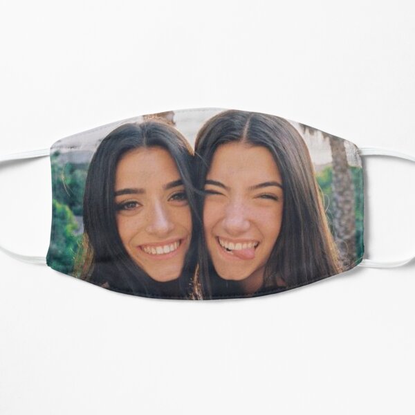 Charli and dixie damelio Flat Mask