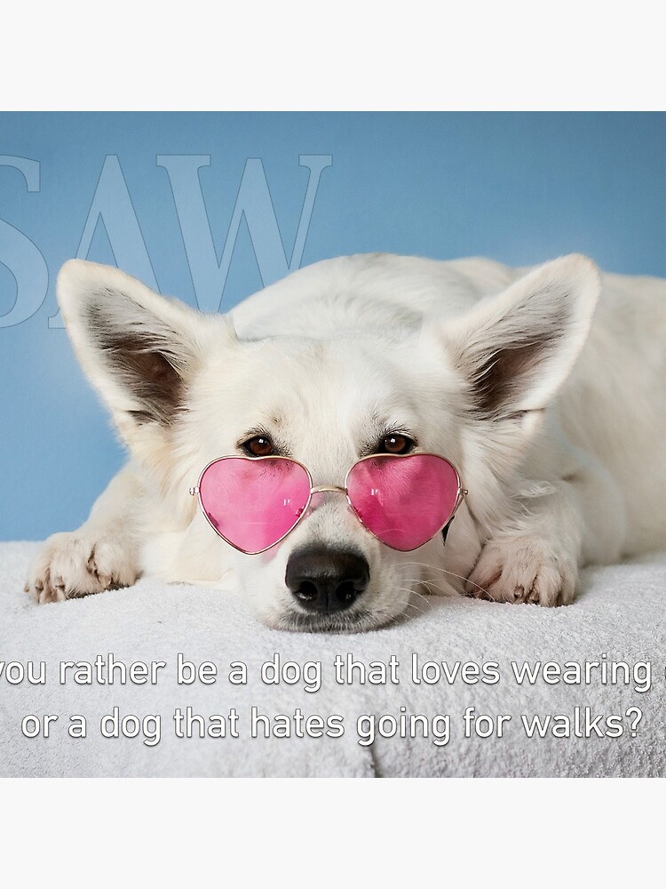 Loves Glasses or Hates Walks by iSAWcompany
