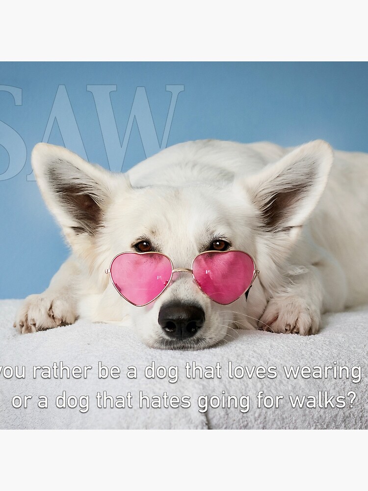 Loves Glasses or Hates Walks by iSAWcompany