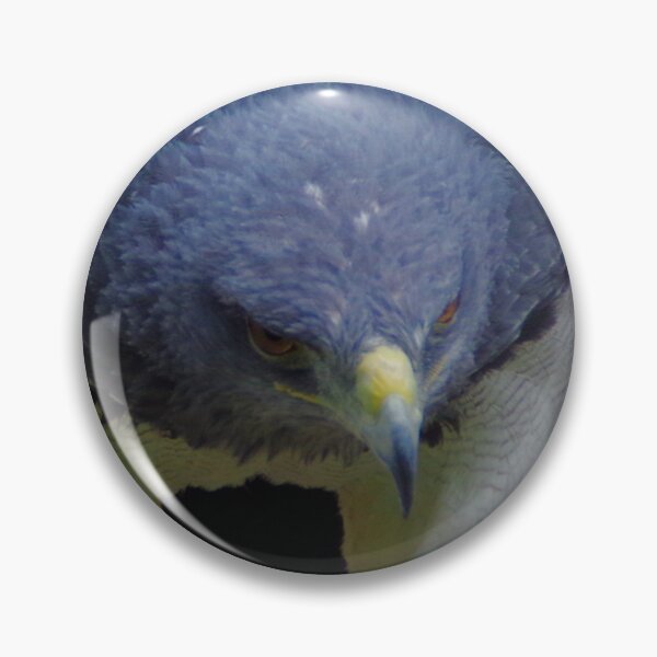 Item preview, Aguja Cordillera Retrato de águila con fondo negro designed and sold by Treemonk.