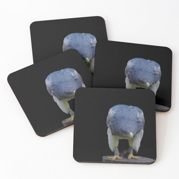 Item preview, Aguja Cordillera Eagle Portrait with Black Background designed and sold by Treemonk.