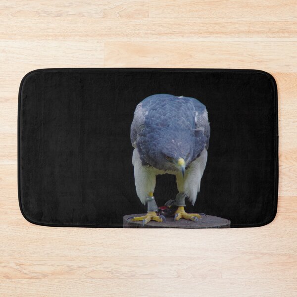 Item preview, Aguja Cordillera Eagle Portrait with Black Background designed and sold by Treemonk.