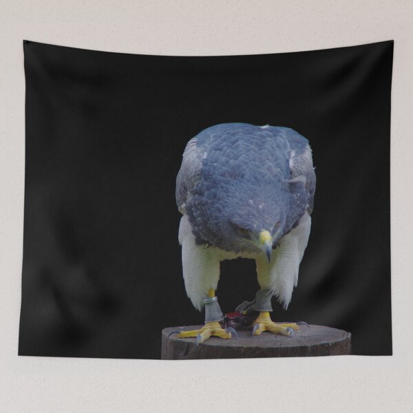 Item preview, Aguja Cordillera Retrato de águila con fondo negro designed and sold by Treemonk.
