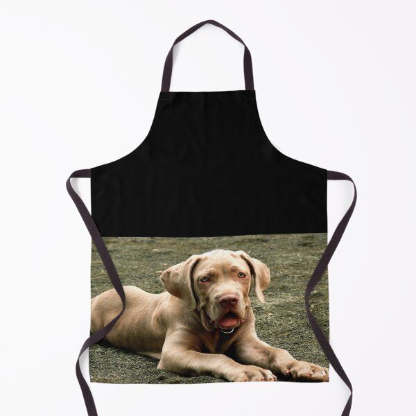Item preview, #419  Charlie Laying Down designed and sold by MyInnereyeMike.