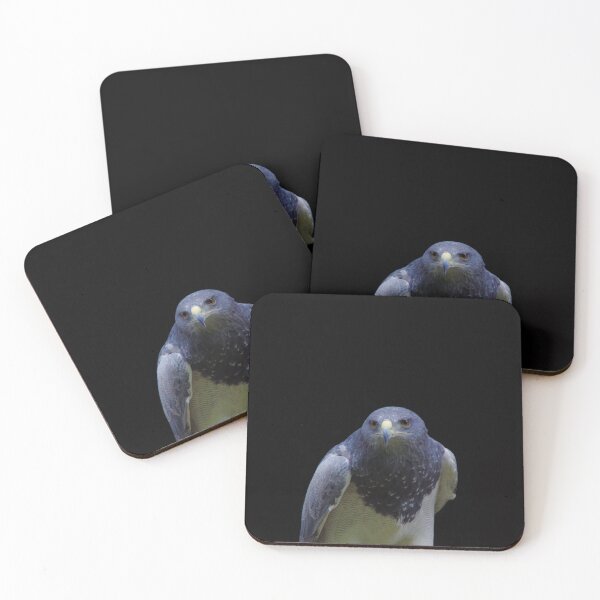 Item preview, Aguja Cordillera Eagle Portrait with Black Background designed and sold by Treemonk.