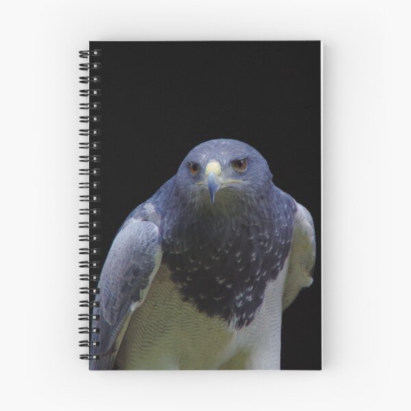 Item preview, Aguja Cordillera Eagle Portrait with Black Background designed and sold by Treemonk.