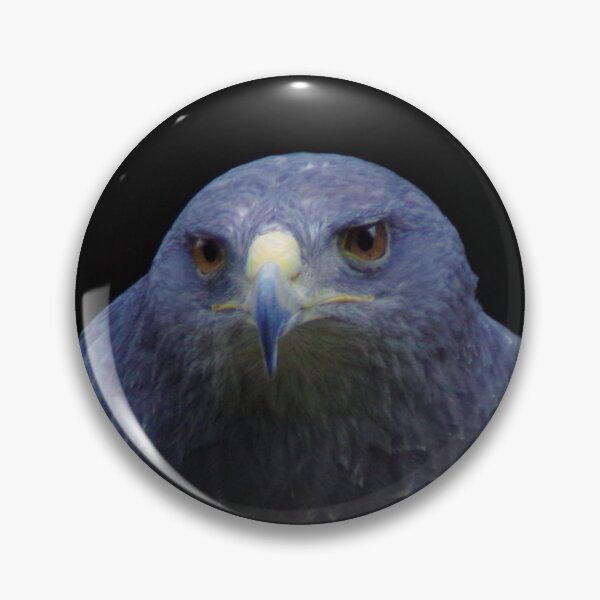Item preview, Aguja Cordillera Retrato de águila con fondo negro designed and sold by Treemonk.