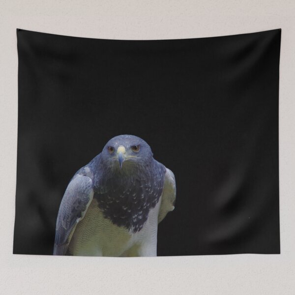 Item preview, Aguja Cordillera Retrato de águila con fondo negro designed and sold by Treemonk.