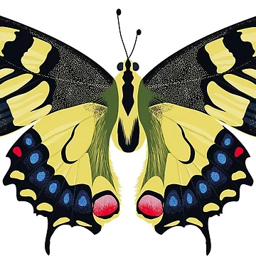 Artwork thumbnail, Yellow Butterfly by My Valid Vibes
