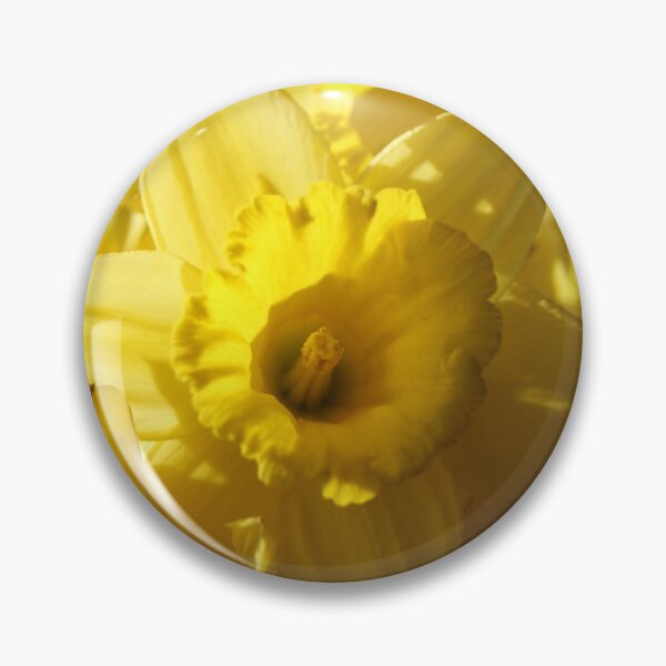 Item preview, Daffodil 2 designed and sold by Peta Jamieson.