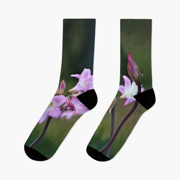 Item preview, Amaryllis Belladonna Lovely Pink Poisonous Flowers designed and sold by Anna Lemos.
