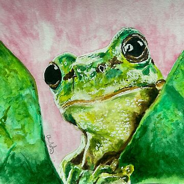 Artwork thumbnail, curious green frog by char-mitch