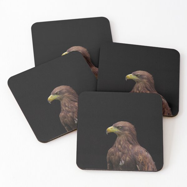 Item preview, Golden eagle portrait with black background designed and sold by Treemonk.