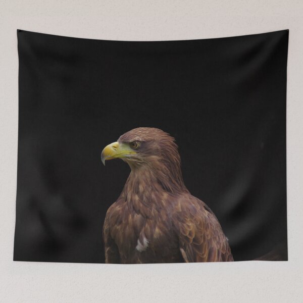 Item preview, Golden eagle portrait with black background designed and sold by Treemonk.