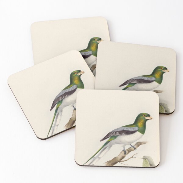 Item preview, A monograph of the Trogonidae or family of trogons John Gould 1838 V1 to V3 0100 Trogon Gigas Giant Trogon designed and sold by WetdryvacRB01.