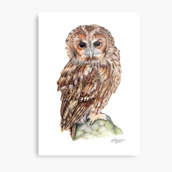 Nocturne Metal Print