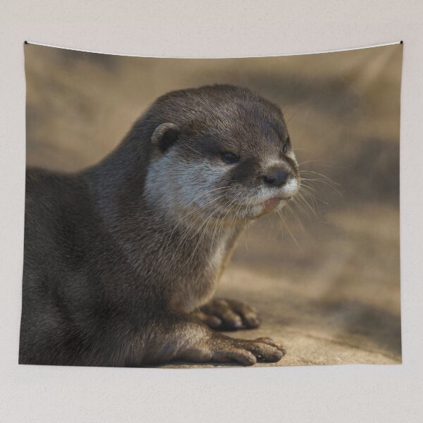Item preview, Otter Close-Up designed and sold by rawshutterbug.