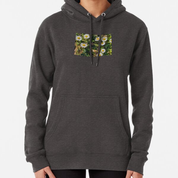 Daisey Patch Pullover Hoodie