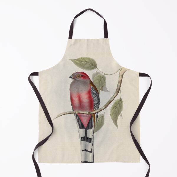 Item preview, A monograph of the Trogonidae or family of trogons John Gould 1838 V1 to V3 0102 Trogon Hodgsonii Hodgson's Trogon designed and sold by WetdryvacRB01.